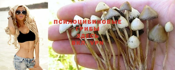 МДПВ Балахна