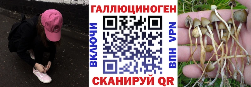 Псилоцибиновые грибы мицелий  ОМГ ОМГ ONION  Борисоглебск  купить  